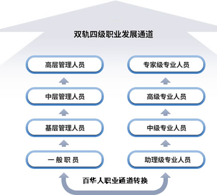 百华人才成长通道